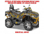 Preview: Digital Spot Grau-Gelb für Stels Guepard 650/800/850/1000